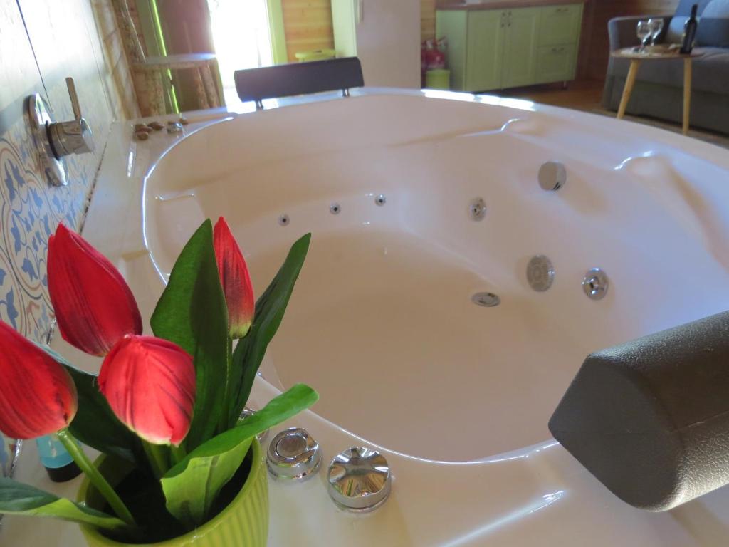 Anat's Cabin הצימר של ענת - Chalet