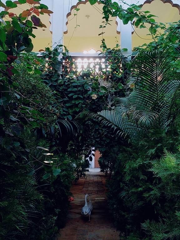 Zahrada ubytování Radhika Palace Hotel