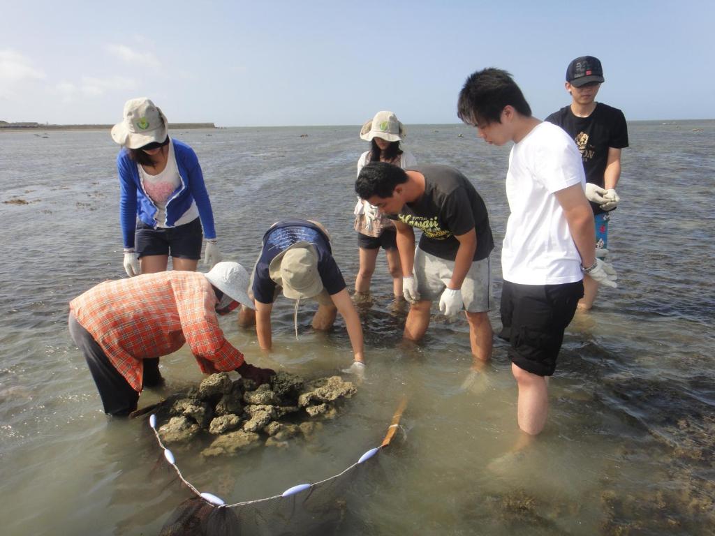 &#x6C11;&#x5BBF;&#x9644;&#x8FD1;&#x7684;&#x81EA;&#x7136;&#x666F;&#x89C0;