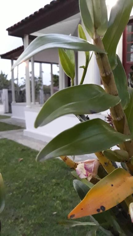  Casa de praia em Imbituba