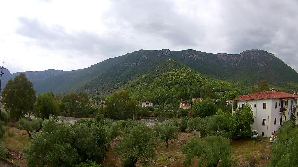 Príroda v okolí of the bed and breakfast