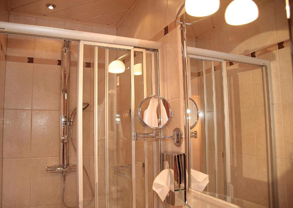 a bathroom with a shower and a mirror at Retzerlandhof Familie Graf in Zellerndorf