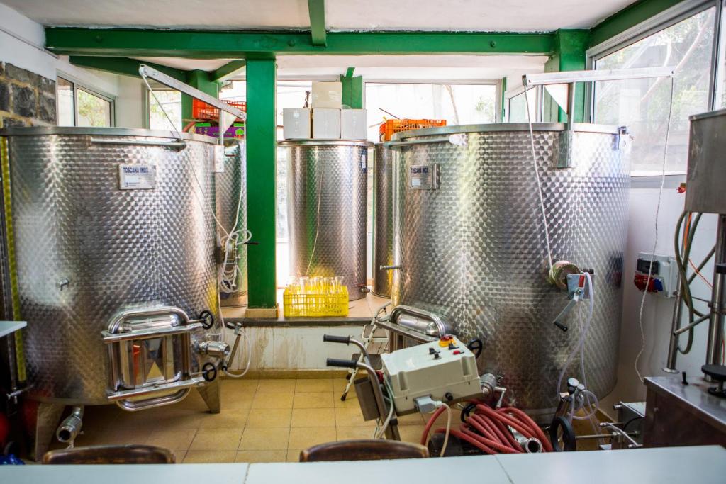 Fotografie z fotogalerie ubytování Berenice Winery Hotel v destinaci Tiberias