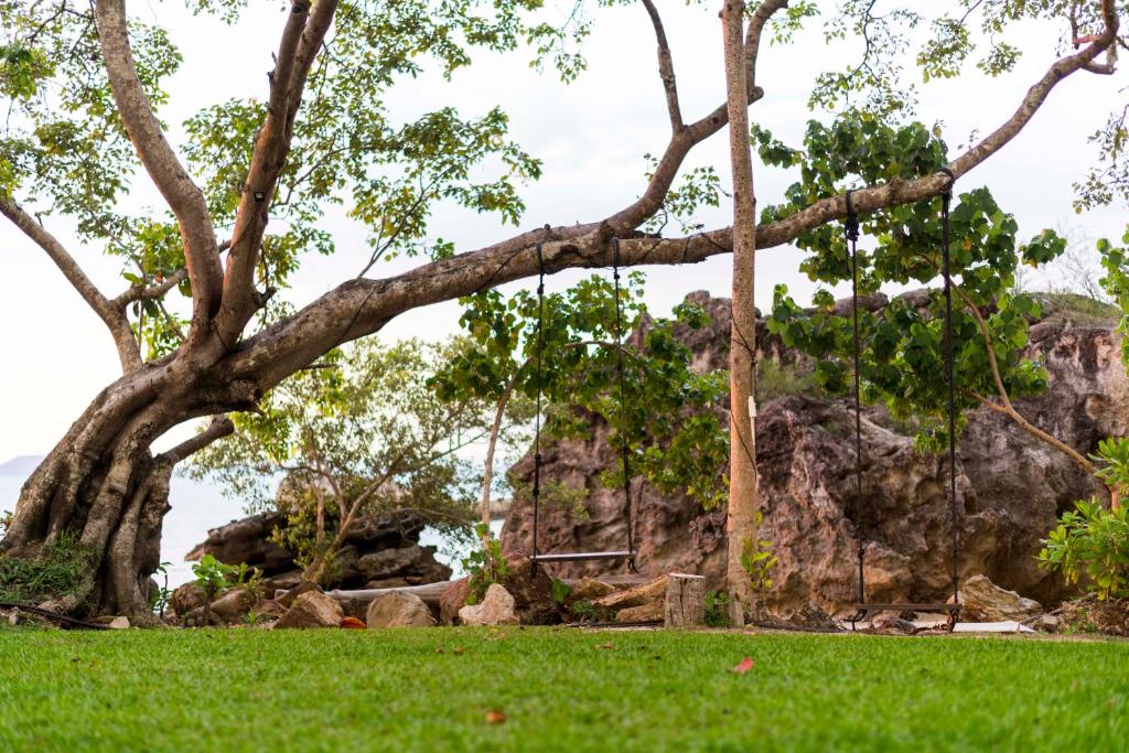 a tree in front of a rock formation at Krabi Home Resort in Tab Kaek Beach