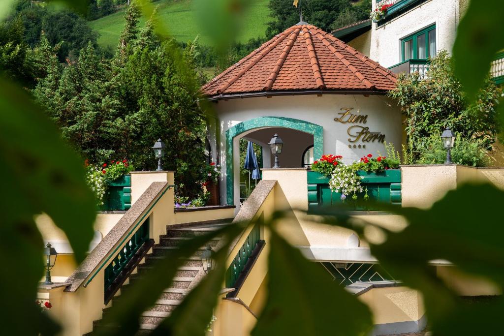 Zahrada ubytování Hotel Zum Stern - Bergbahnen inklusive im Sommer 2025