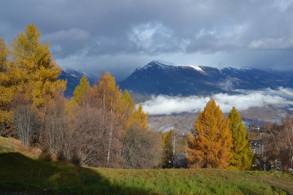 Les 2 Sabots - Resim 16