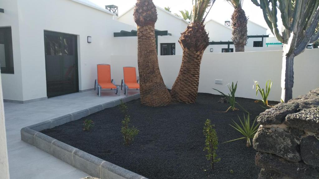 Vonkajšia záhrada v ubytovaní Luxury Villa sea front Costa Teguise