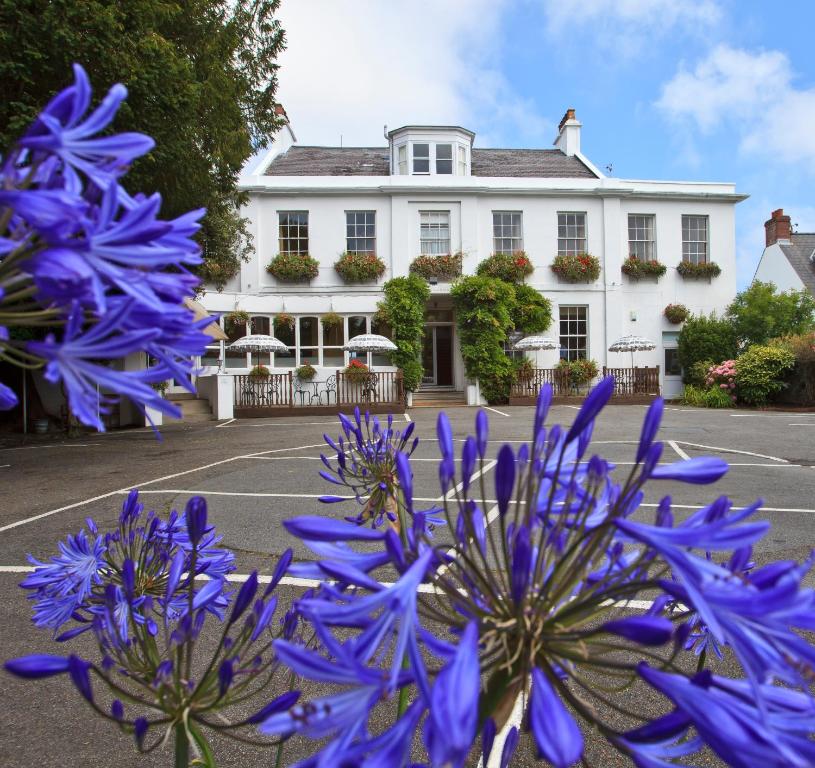 a group of purple flowers in front of a building at La Collinette Hotel, Cottages & Apartments in St. Peter Port