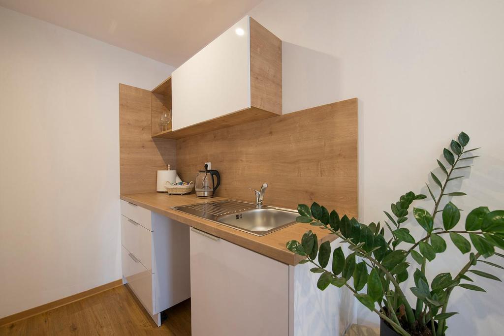 Kuchyň nebo kuchyňský kout v ubytování Villa Bellevue Wellness