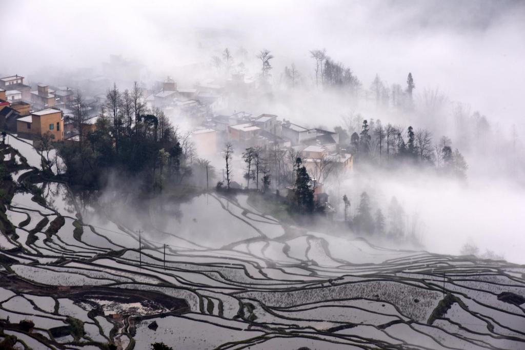 a mistyaddy field in the mountains with houses and trees at Beyond The Cloud in Yuanyang