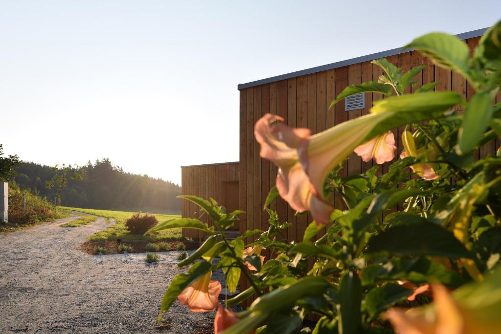 Zahrada ubytování roo'n Lodges#KOLM