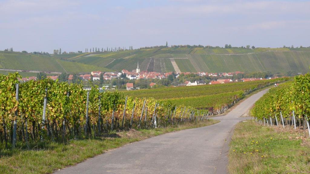 Příroda nedaleko bed and breakfast