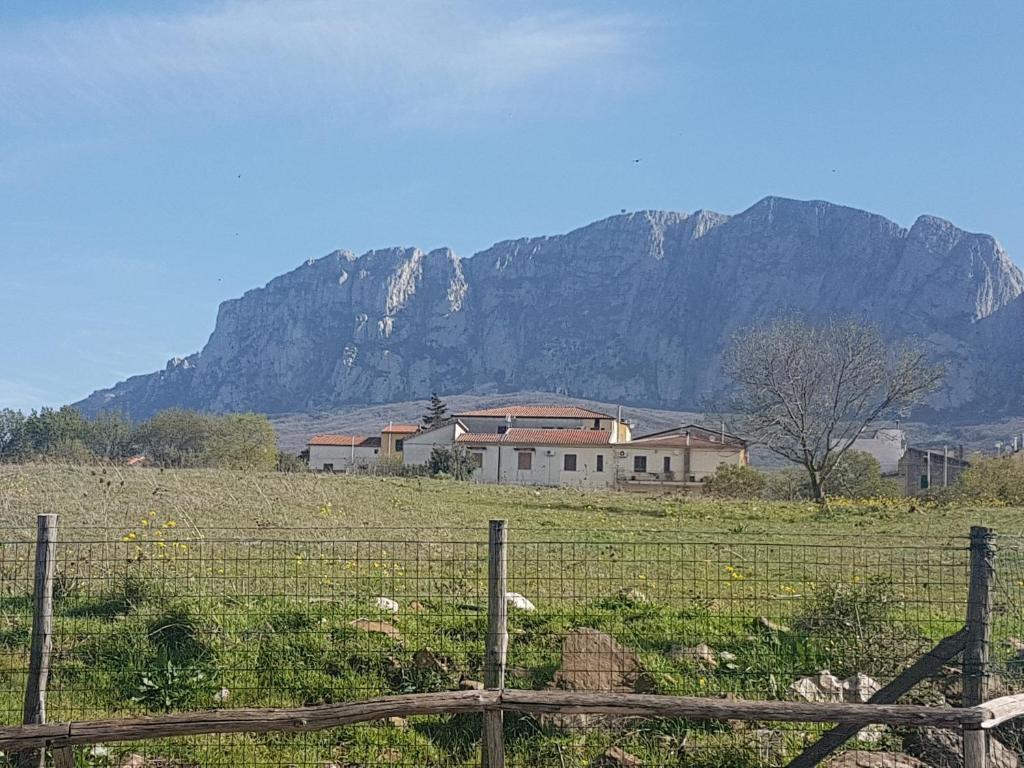 a house in a field with a mountain in the background at Al Bosco Ficuzza in Ficuzza