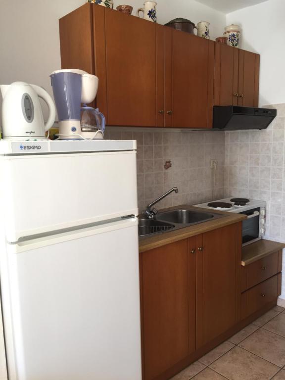 Kuchyň nebo kuchyňský kout v ubytování Livanina apartments