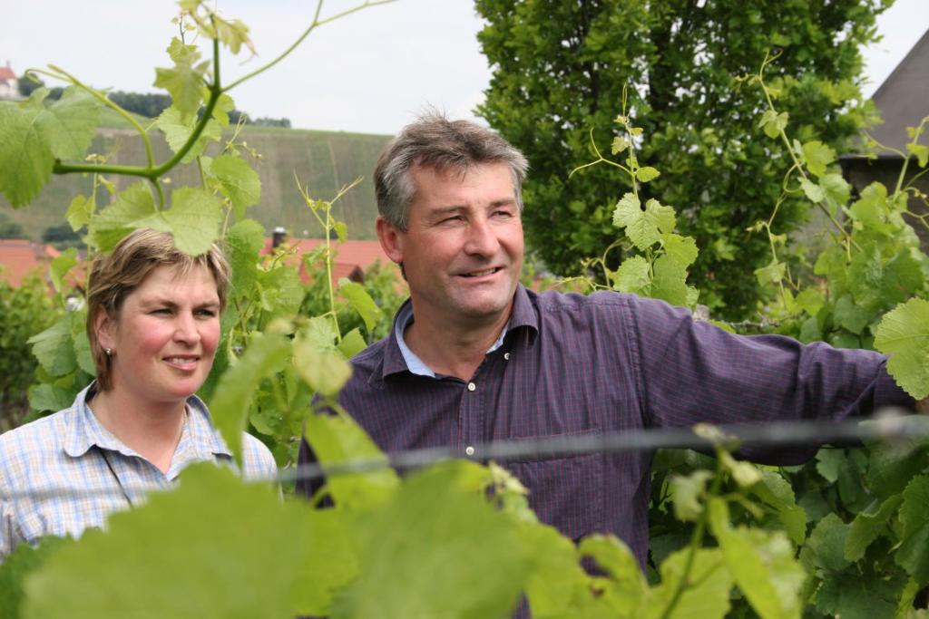 Hosté ubytování Weingut Herbert Kram