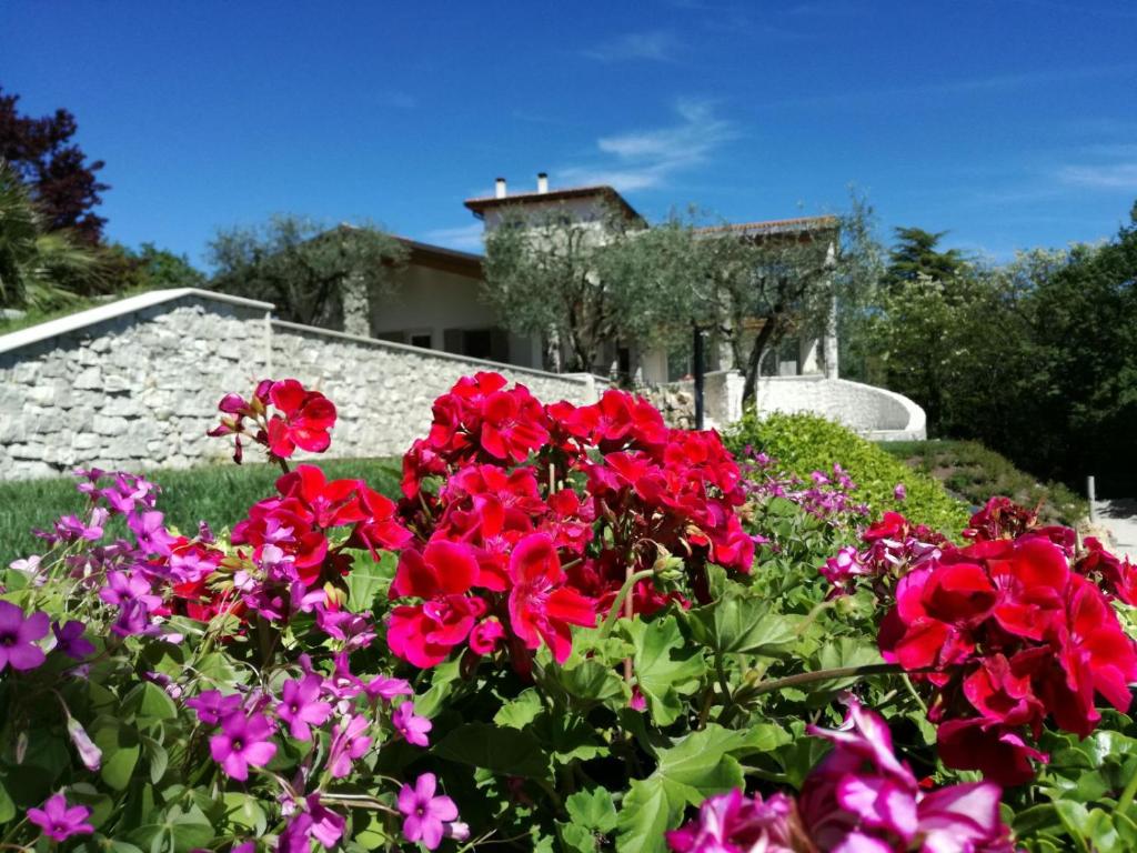 Zahrada ubytování Relais Colle San Giorgio