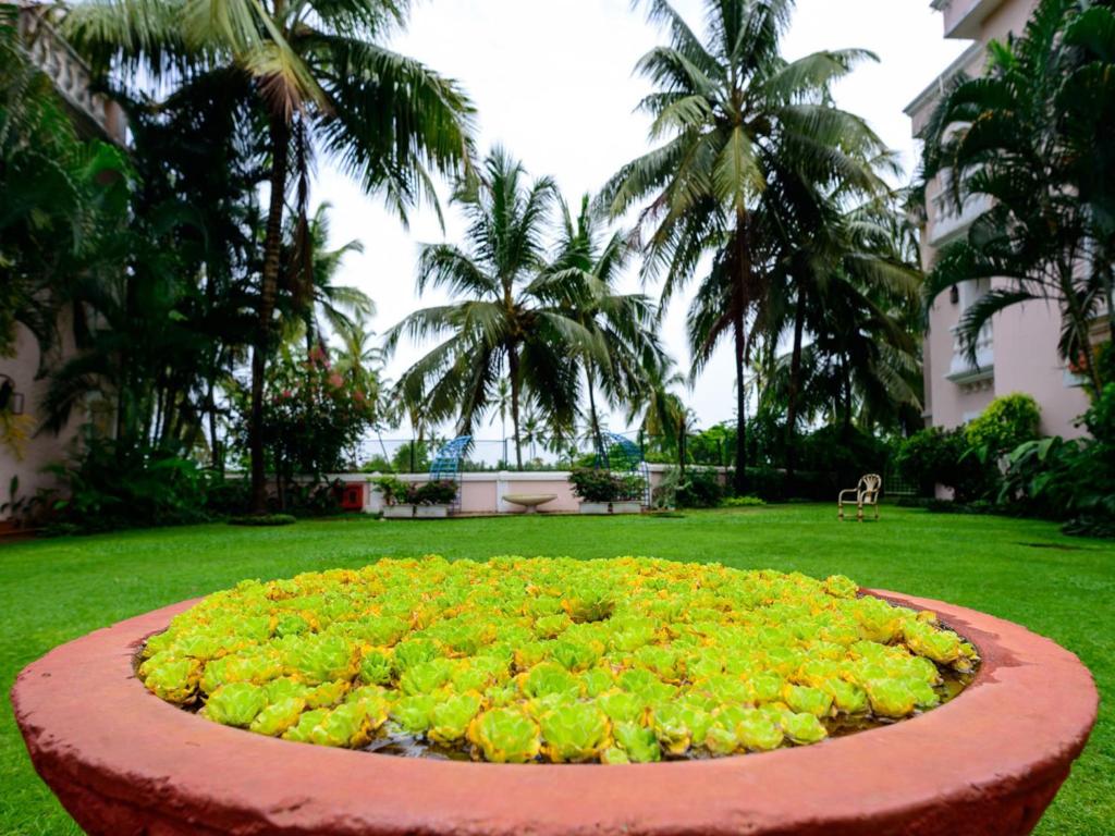 Zahrada ubytování Club Mahindra Emerald Palms, Goa
