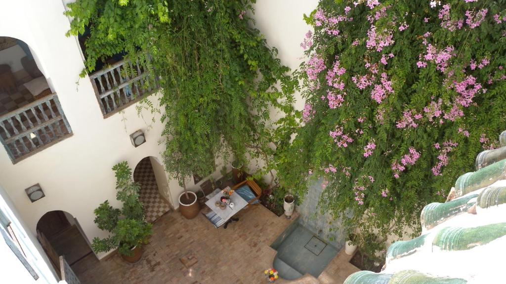 Zahrada ubytování Riad Le Coq Berbère