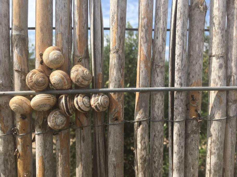 Fotografia z galérie ubytovania Cortijo Los Garridos - 8 huéspedes v destinácii Fernán Pérez