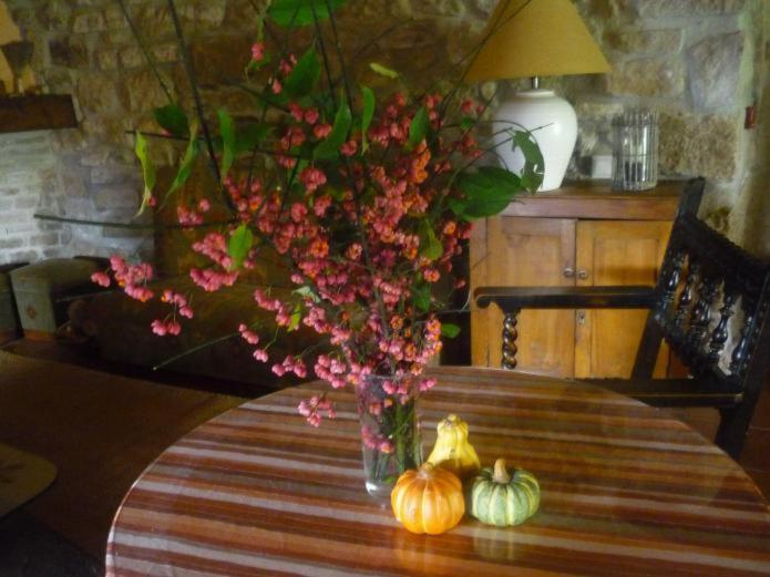 Fotografie z fotogalerie ubytování Casa Lucia v destinaci Abáigar