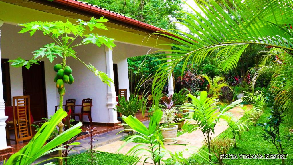 una casa con un montón de plantas verdes delante de ella en Priyavimana resort en Habarana