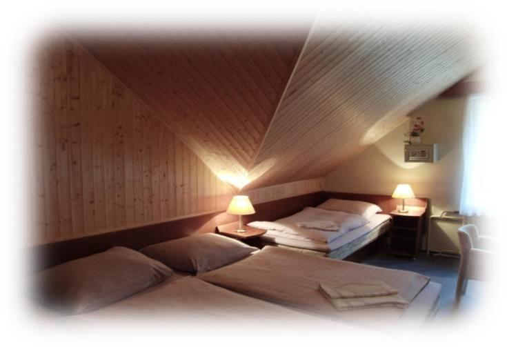Postel nebo postele na pokoji v ubytování Hotel Prom