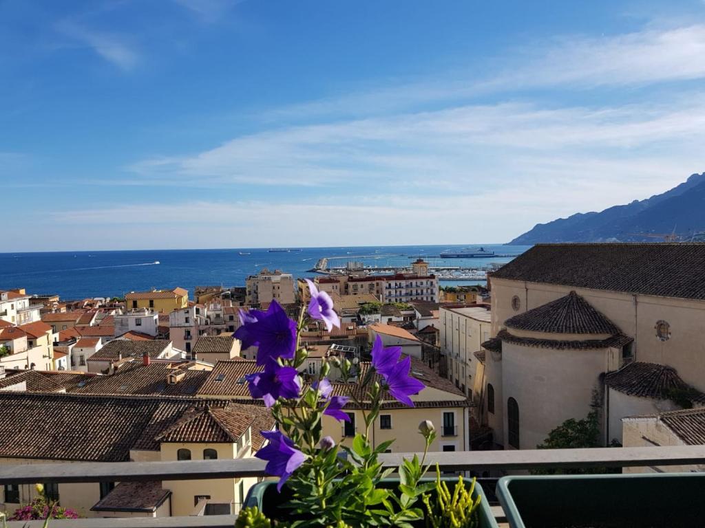 vista su una città con fiori viola di Armonia a Salerno