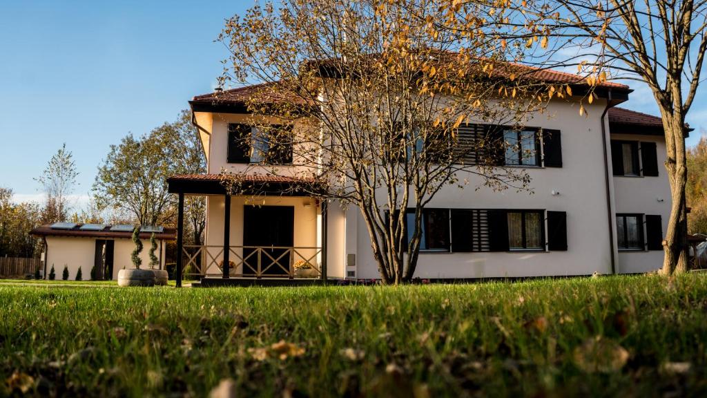 Una casa blanca con un árbol delante. en Pensiunea Negoiu, en Porumbacu de Sus