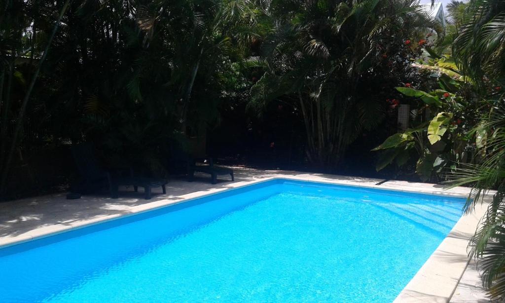 een blauw zwembad met palmbomen op de achtergrond bij La Belle Créole in Sainte-Anne