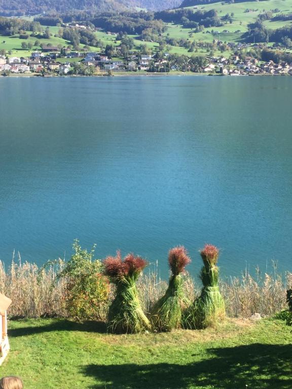 two people in green dresses sitting on the edge of a lake at Luxury loft on top of Villa Wilen with tremendous views by the lake in Sarnen