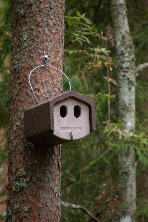 Fotografie z fotogalerie ubytování Pullijärve Holiday Park v destinaci Misso