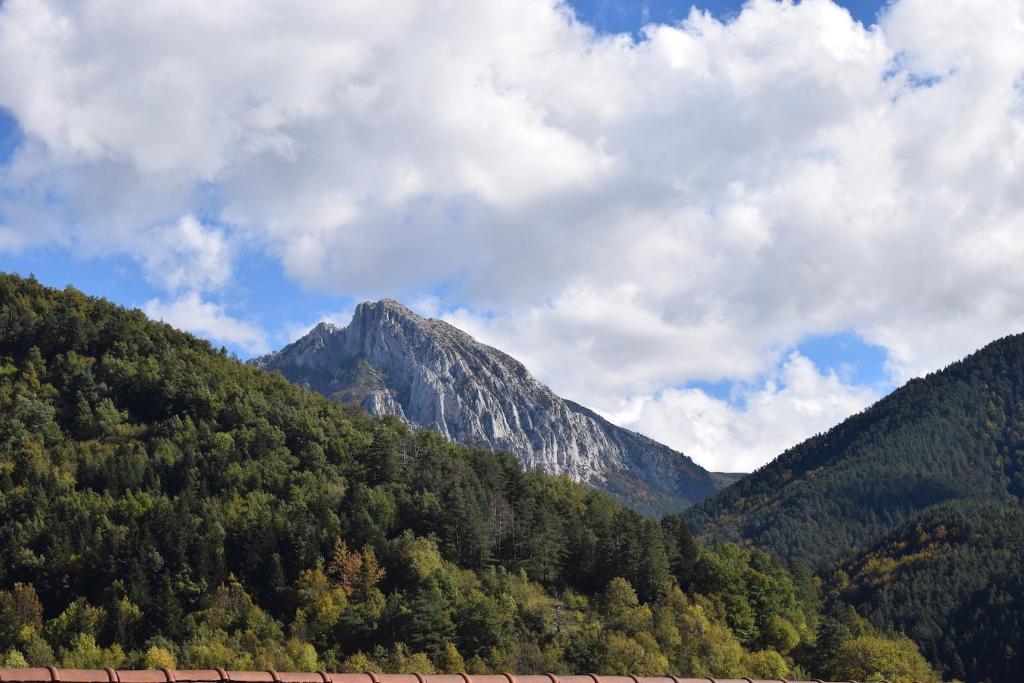 Příroda nedaleko apartmánu