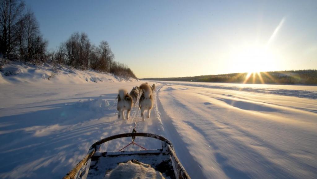 Imagen de la galería de Scandinavian Home, en Rovaniemi