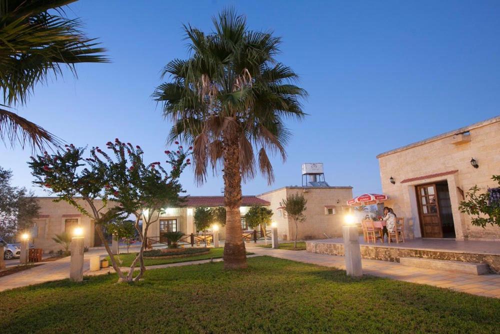 a courtyard with a palm tree and a building at Glaro Garden Hotel in Rizokarpaso
