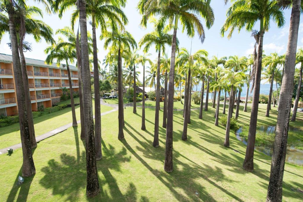 Vrt pred nastanitvijo Hotel Bakoua Martinique