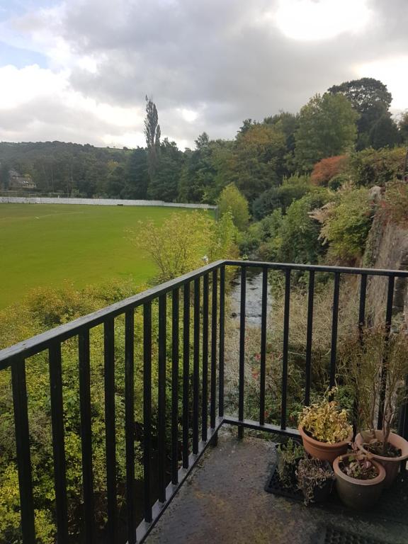 a balcony with potted plants and a view of a field at Wicket Green Cottage in Hayfield