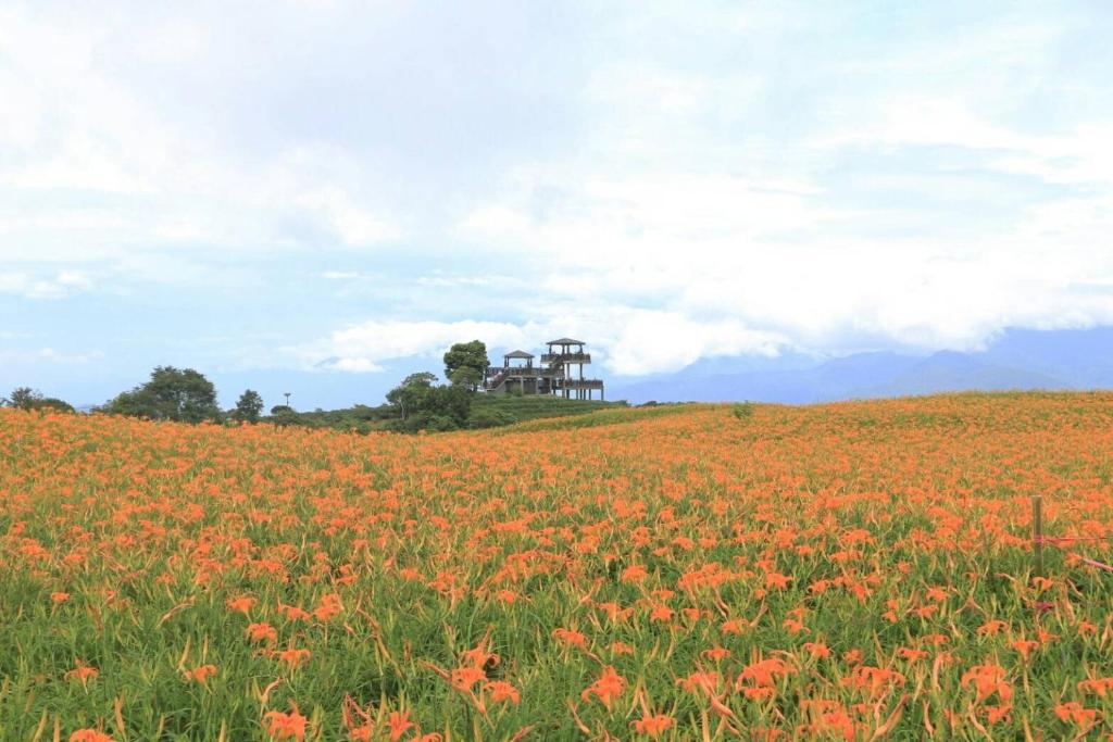 a field of flowers with a house on the hill at Heyi B&amp;B in Taitung City