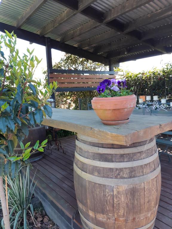 Maples on Harewood - Resim 38