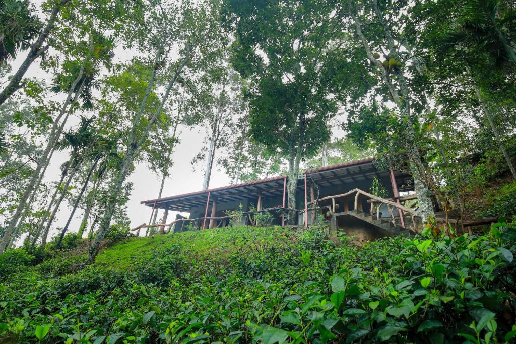 The Spice Lodge - 18