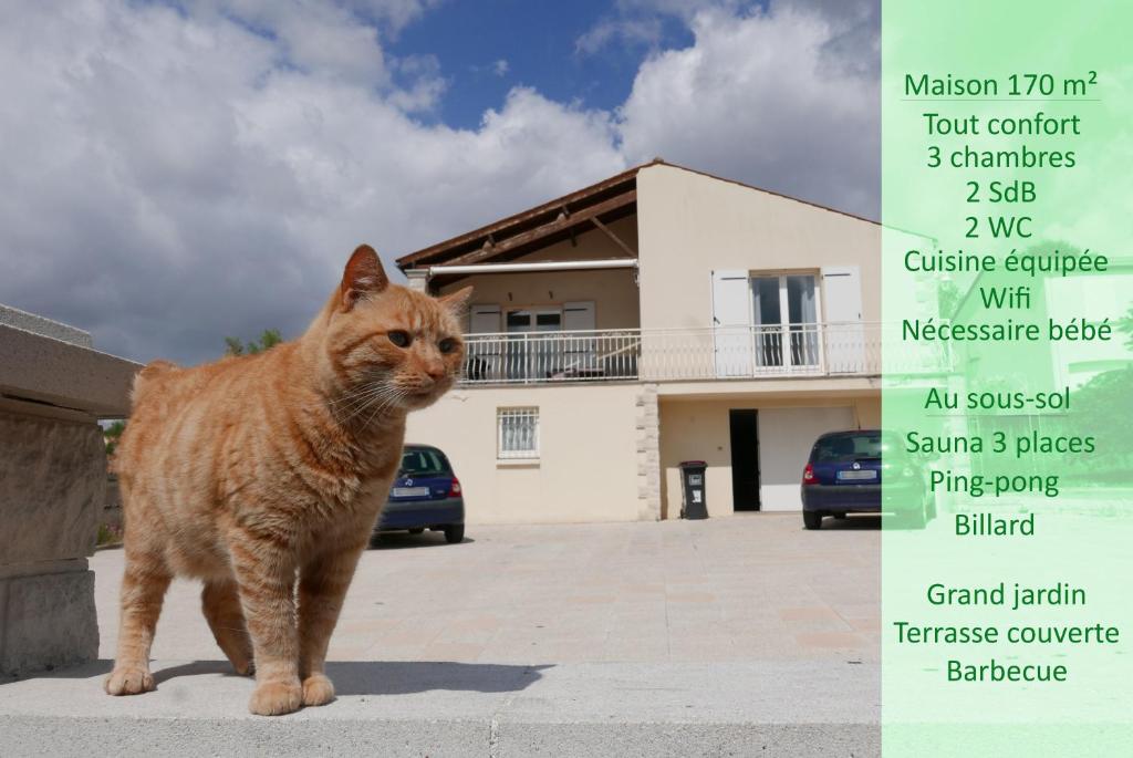 un chat debout à côté d'un panneau devant une maison dans l'établissement La maison de Edgar, à Ruelle-sur-Touvre