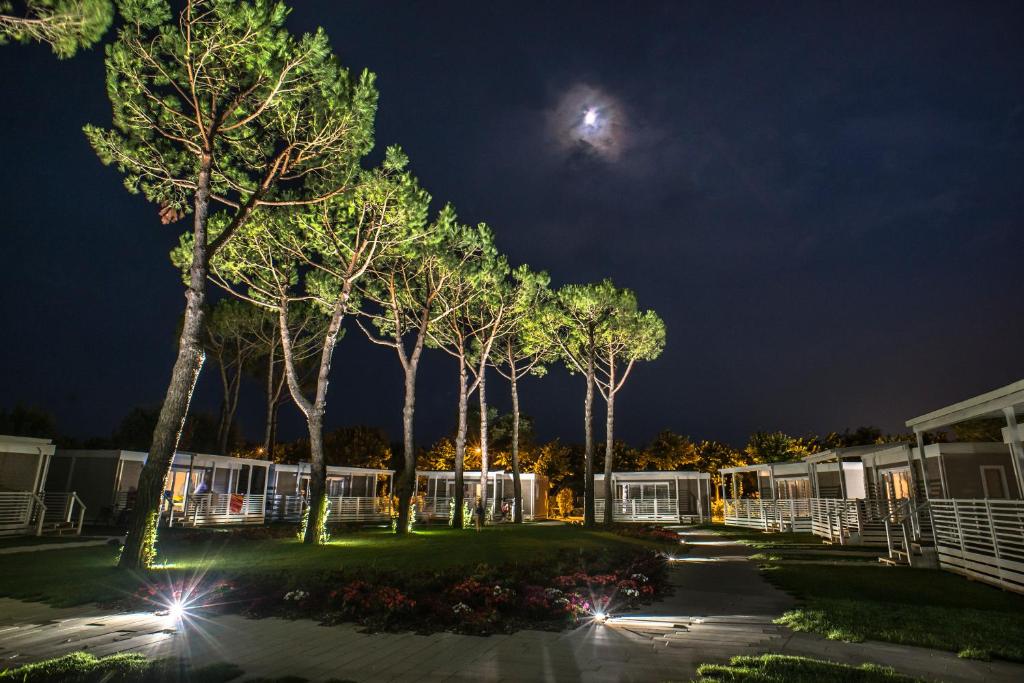 a row of trees in a yard at night at Villaggio San Francesco in Duna Verde