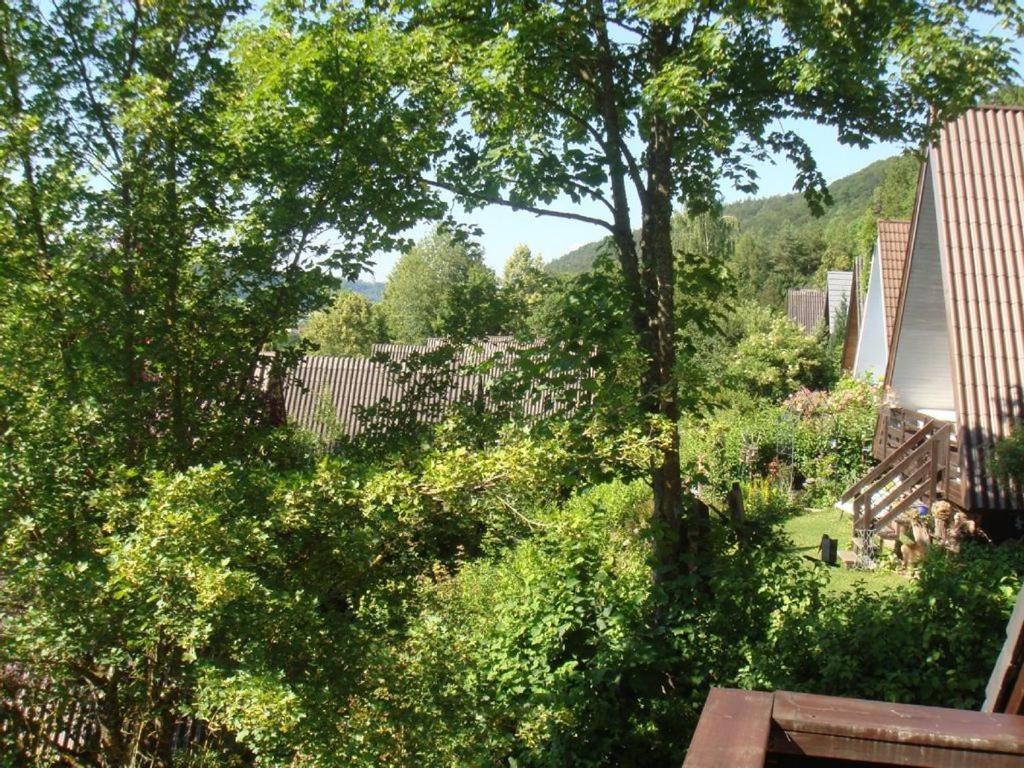 uitzicht op een tuin met bomen en een bank bij Ferienhaus 32 in Kinding