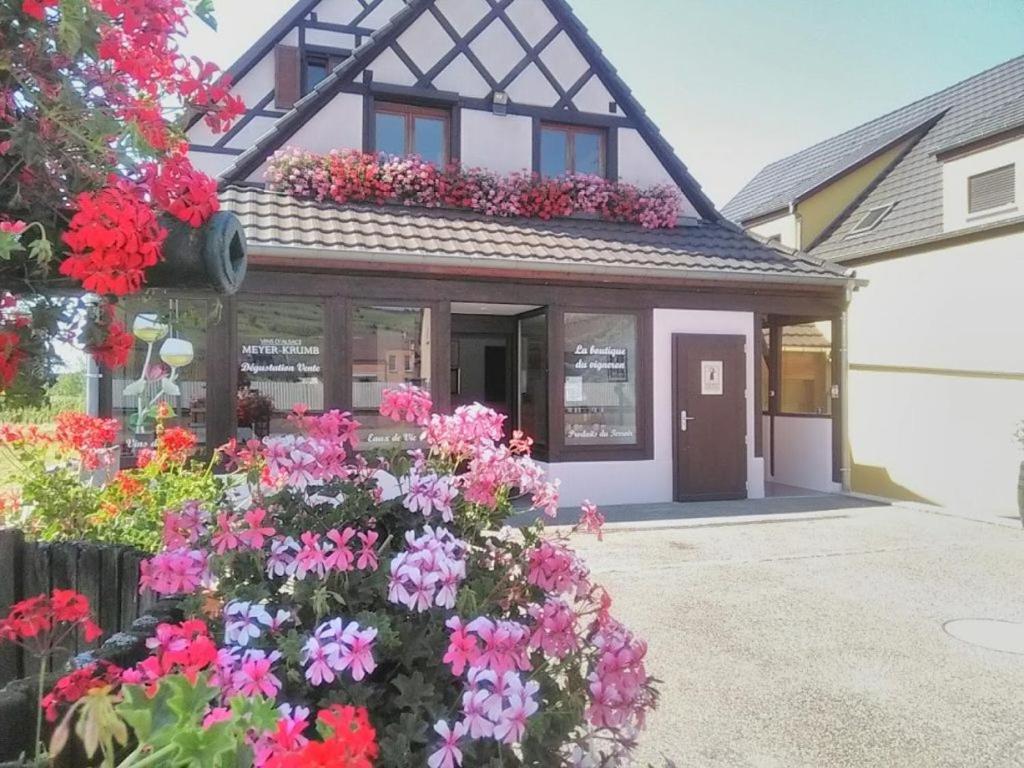 Zahrada ubytování Alsace Appartements Meyer-Krumb