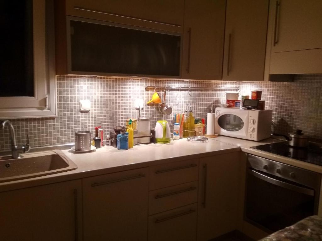 eine Küchentheke mit einer Spüle und einer Mikrowelle in der Unterkunft Anna Apartment in Kypseli in Athen