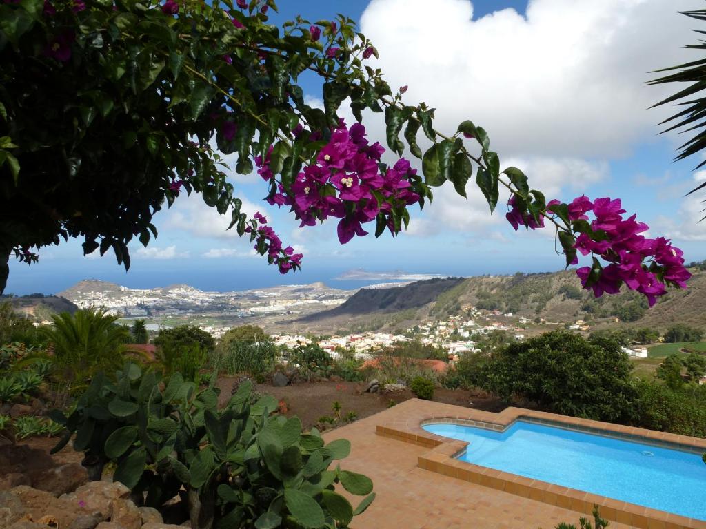 a villa with a swimming pool and flowers at *****Finca Bella Vista in Arucas