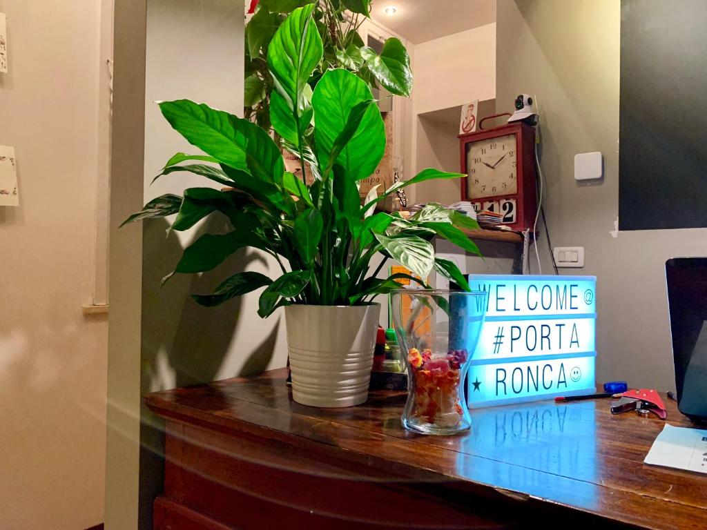 uma planta num vaso sentado numa secretária em Porta Ronca - B&B, Suites & Apts em Rho