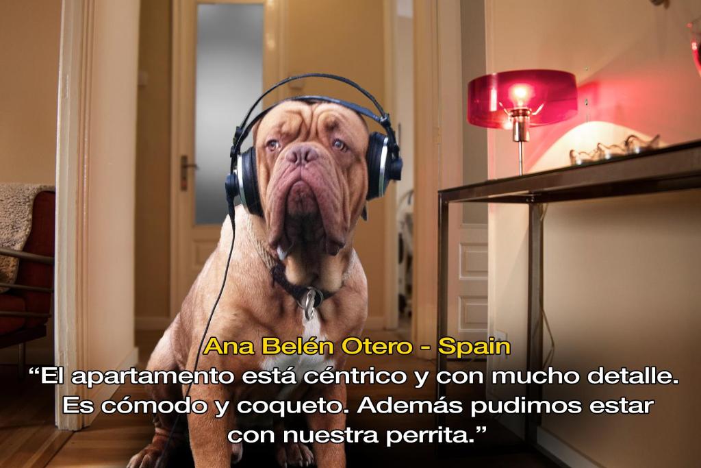 LivingPorto Boavista - 11