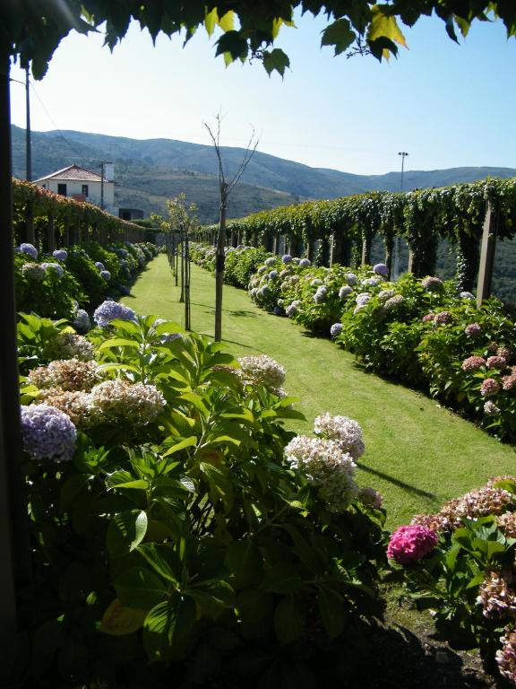 Um jardim no exterior de INATEL Linhares da Beira Hotel Rural