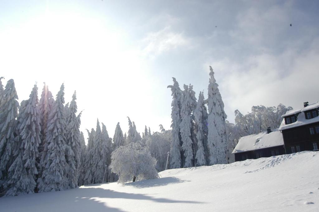 Hotel und Berggasthof Spießberghaus v zimě