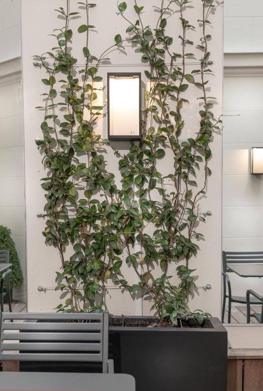 Elysées Ceramic - Resim 20